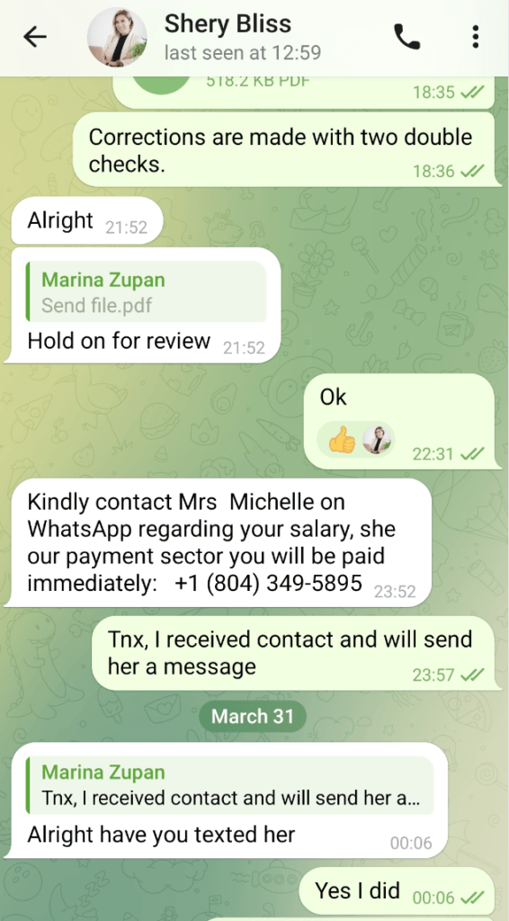 Scam Job Conversation between DIGital entuziast and Shery Bliss.